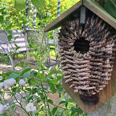 Vakantiehuis Present - Vakantiewoning